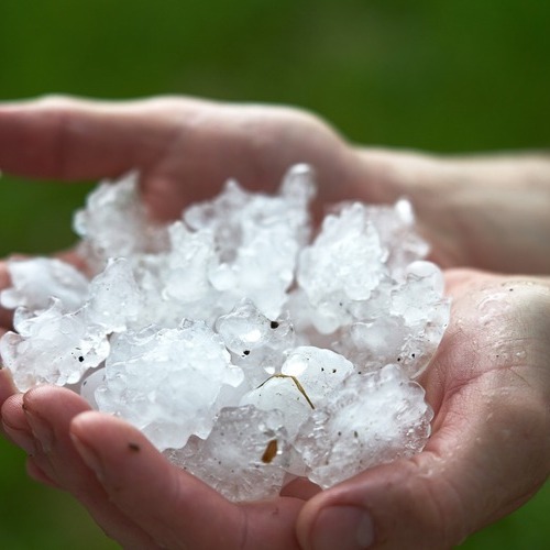 a handful of hailstones