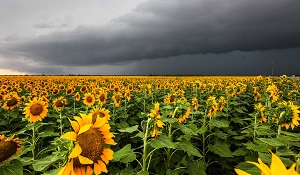 Texas storm