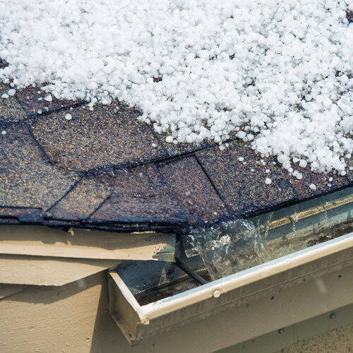 asphalt shingle roof covered in small hailstones