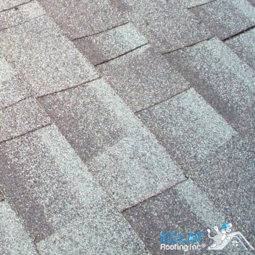 Shingle Roofing