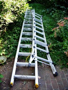 ladders in backyard