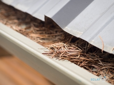 What Are the Benefits of Cleaning Your Gutters