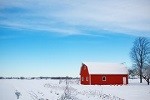 wintry barn